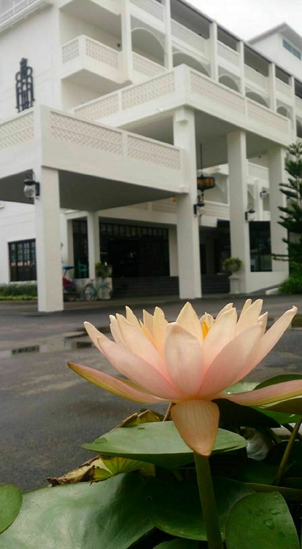 Koranaree Courtyard Boutique Hotel Nakhonratchasima Eksteriør bilde