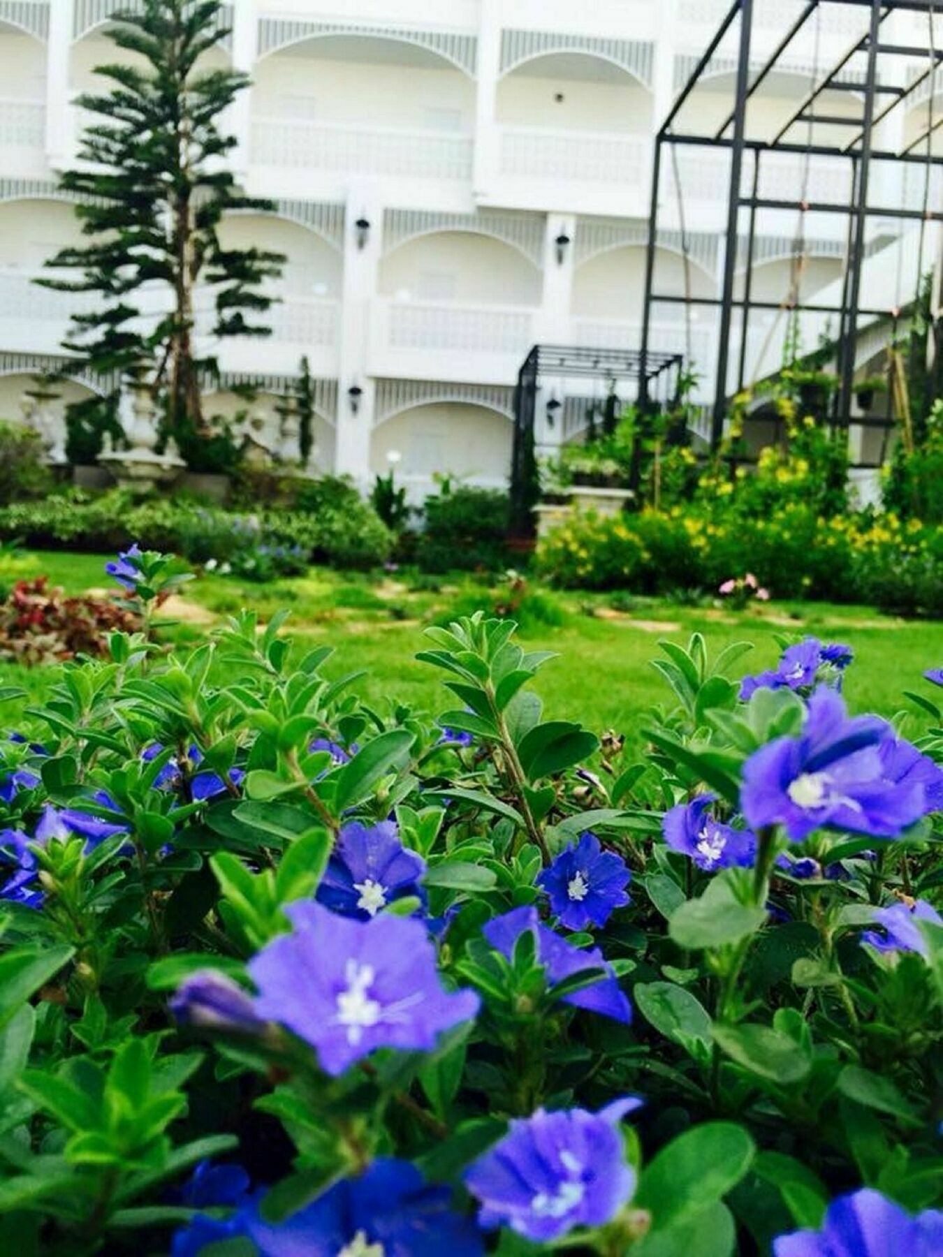 Koranaree Courtyard Boutique Hotel Nakhonratchasima Eksteriør bilde